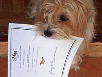 Nina with Certificate