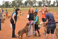 Our Pride & Responsibility Township Dog Show