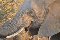 Kruger National Park Visit - Sep 2016