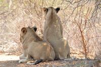 Kruger National Park Visit - Sep 2016
